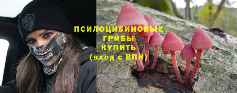 Псилоцибиновые грибы MAGIC MUSHROOMS  магазин  наркотиков  Железноводск 